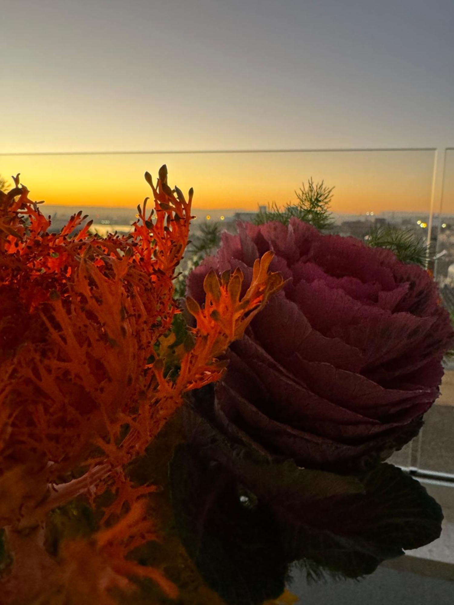 La Terrazza Sul Porto Bed and Breakfast Syrakusa Exteriör bild
